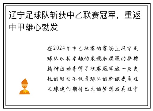 辽宁足球队斩获中乙联赛冠军，重返中甲雄心勃发